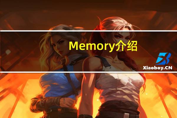 Memory介绍