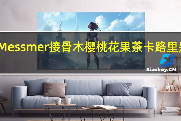 Messmer 接骨木樱桃花果茶卡路里是多少