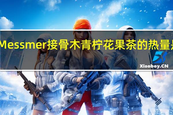 Messmer 接骨木青柠花果茶的热量是多少