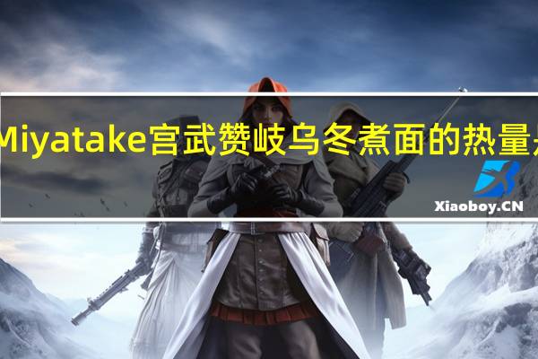 Miyatake 宫武 赞岐乌冬煮面的热量是多少