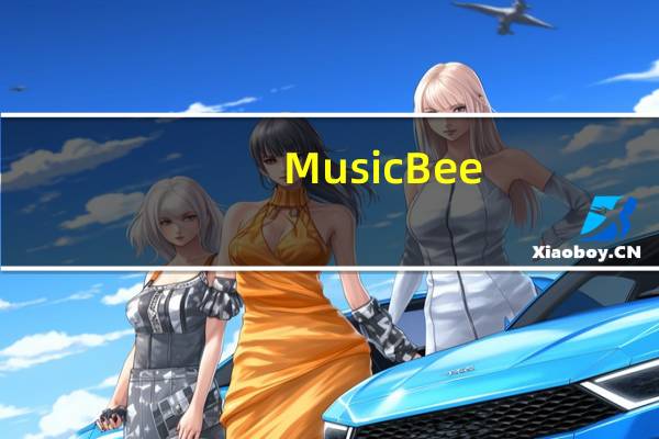 MusicBee(音乐收藏管理软件) V3.3.7367 绿色中文版（MusicBee(音乐收藏管理软件) V3.3.7367 绿色中文版功能简介）