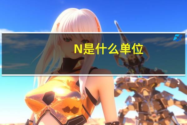N是什么单位