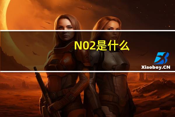 N02是什么