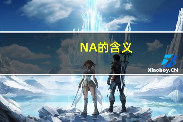 NA的含义