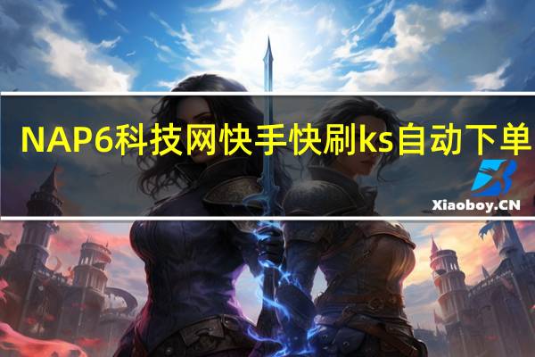 NAP6科技网快手快刷 ks自动下单平台