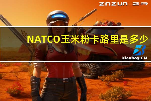 NATCO 玉米粉卡路里是多少