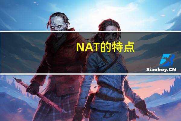 NAT的特点