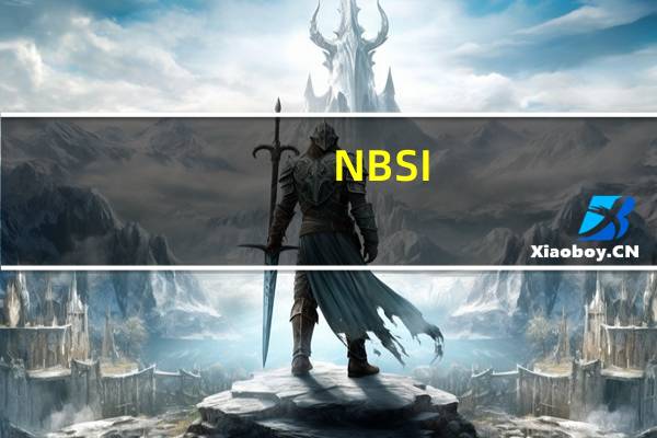 NBSI(网站漏洞检测工具) V3.0 绿色版(NBSI(网站漏洞检测工具) V3.0 绿色版功能简介)