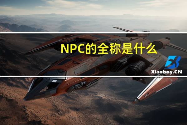 NPC的全称是什么