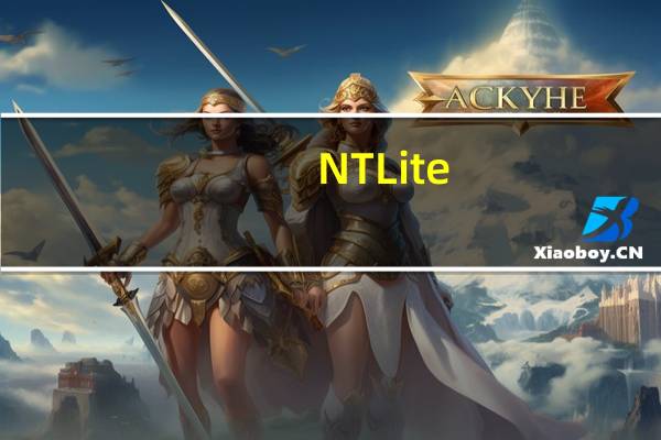 NTLite(Windows系统配置与优化工具) V2.3.4.8673 官方中文版(NTLite(Windows系统配置与优化工具) V2.3.4.8673 官方中文版功能简介)