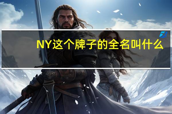 NY这个牌子的全名叫什么