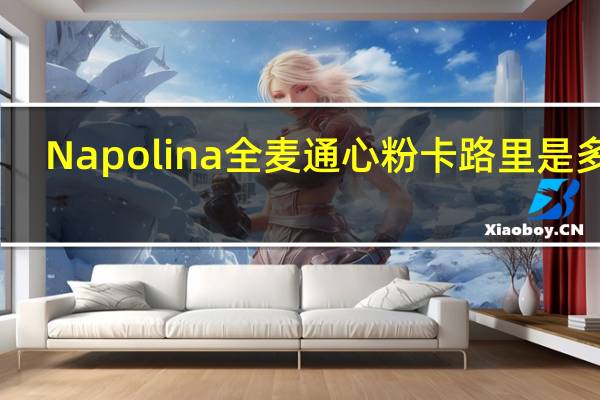 Napolina 全麦通心粉卡路里是多少
