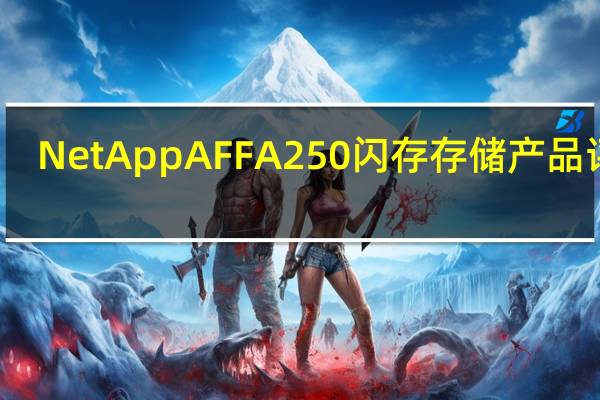 NetApp AFF A250闪存存储产品评测