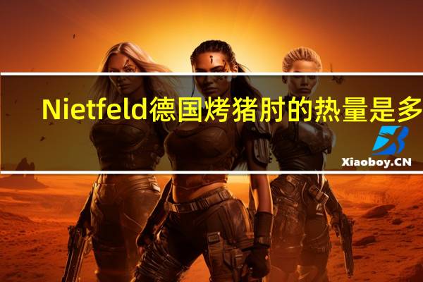 Nietfeld 德国烤猪肘的热量是多少