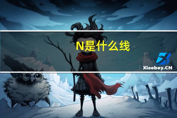 N是什么线