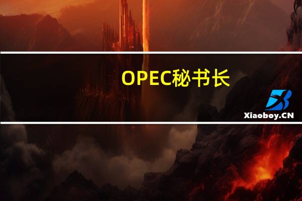 OPEC秘书长：仍看好石油需求前景