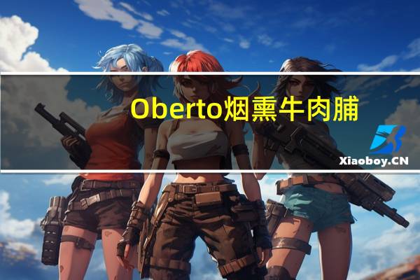 Oberto 烟熏牛肉脯 (原味)/Beef Jerky的热量是多少