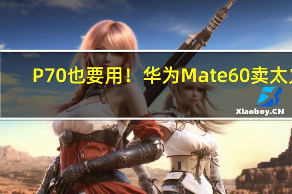 P70也要用！华为Mate60卖太火：带动屏下光学指纹模组涨价
