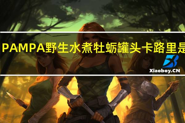 PAMPA 野生水煮牡蛎罐头卡路里是多少