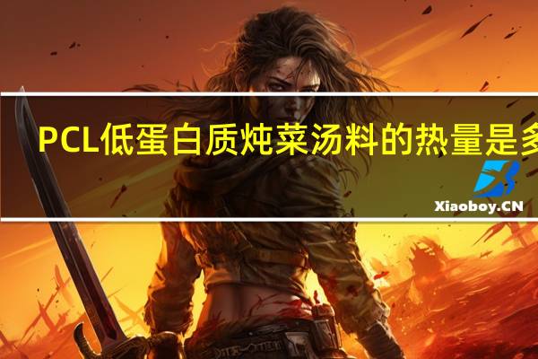 PCL 低蛋白质炖菜汤料的热量是多少