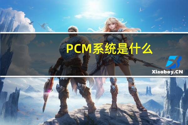 PCM系统是什么