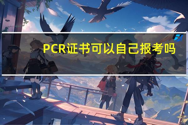 PCR证书可以自己报考吗