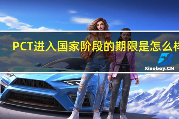 PCT进入国家阶段的期限是怎么样的