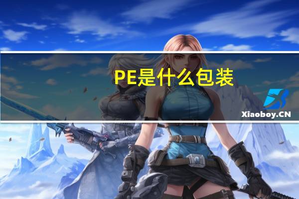 PE是什么包装