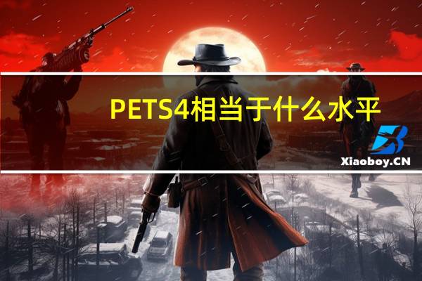 PETS4相当于什么水平
