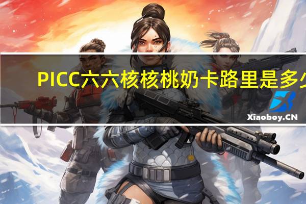 PICC 六六核核桃奶卡路里是多少