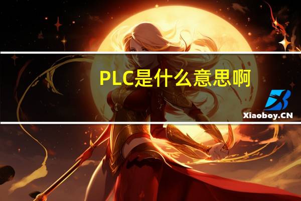 PLC是什么意思啊