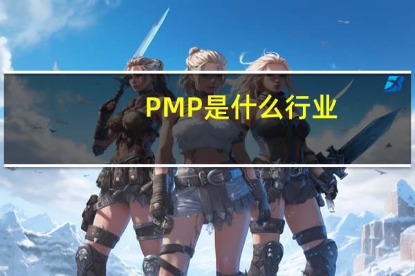PMP是什么行业