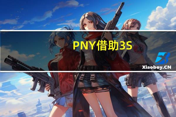 PNY借助3S-2400存储服务器促进AI开发