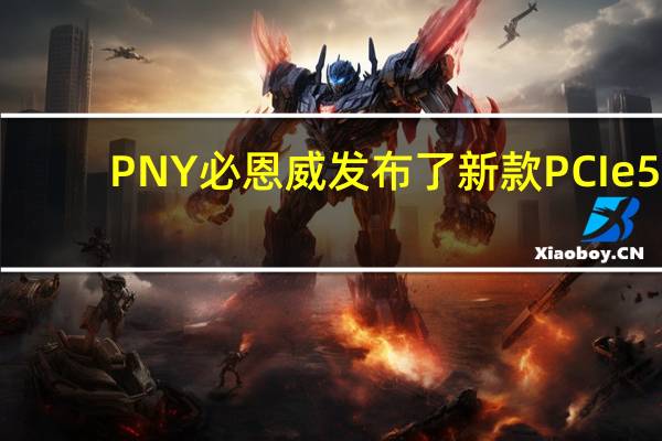 PNY必恩威发布了新款PCIe5.0SSDCS3150