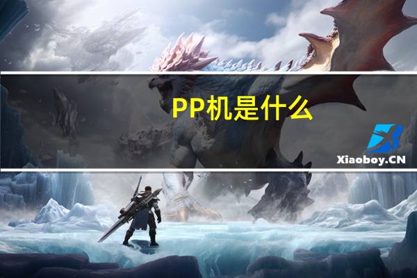 PP机是什么