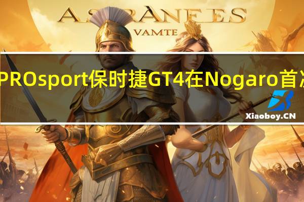 PROsport保时捷GT4在Nogaro首次亮相