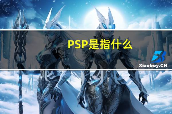PSP是指什么