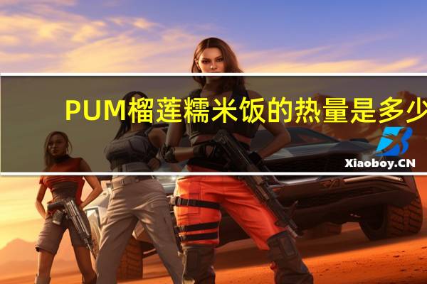 PUM 榴莲糯米饭的热量是多少