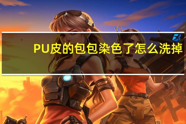 PU皮的包包染色了怎么洗掉