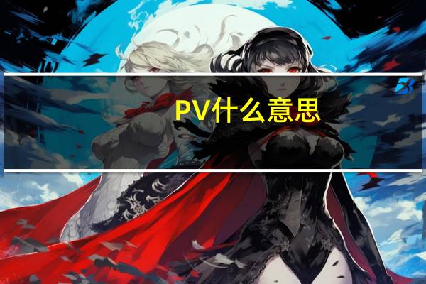 PV什么意思