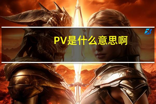 PV是什么意思啊