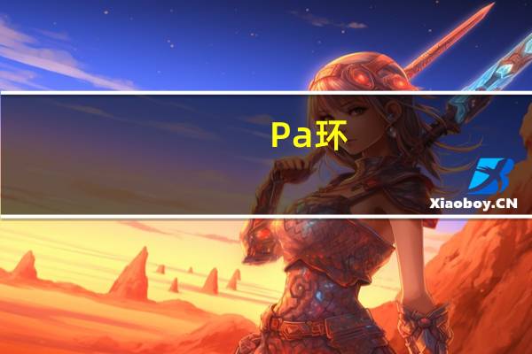 Pa环
