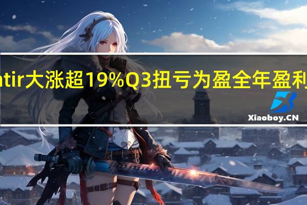 Palantir大涨超19% Q3扭亏为盈 全年盈利指引超预期