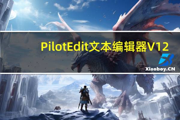 PilotEdit文本编辑器 V12.5.0 汉化破解版(PilotEdit文本编辑器 V12.5.0 汉化破解版功能简介)