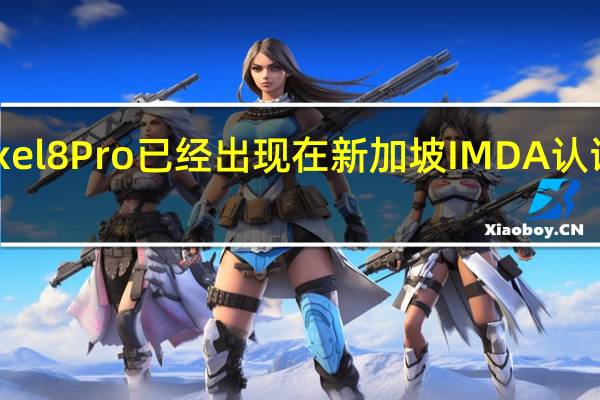 Pixel8Pro已经出现在新加坡IMDA认证网站上