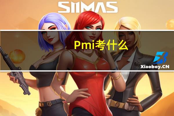 Pmi考什么