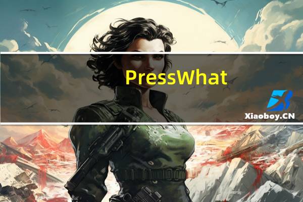 PressWhat(键盘测试工具) V1.0.0 绿色免费版（PressWhat(键盘测试工具) V1.0.0 绿色免费版功能简介）