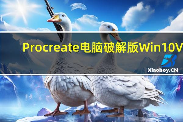 Procreate电脑破解版 Win10 V4.5.3 汉化免费版（Procreate电脑破解版 Win10 V4.5.3 汉化免费版功能简介）
