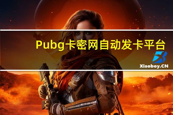 Pubg卡密网自动发卡平台 - 快手粉丝增加器怎么用