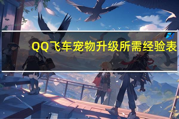 QQ飞车宠物升级所需经验表